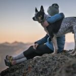 450+ Cool Names For Pets: Ultimate Creative Guide