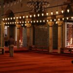 500+ Cool Names For A Sanctuary: Peaceful And Inspiring Ideas