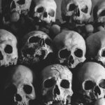 300+ Cool Names For Skulls: Bold And Mysterious Ideas