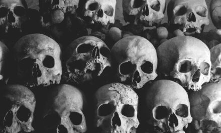 300+ Cool Names For Skulls: Bold And Mysterious Ideas