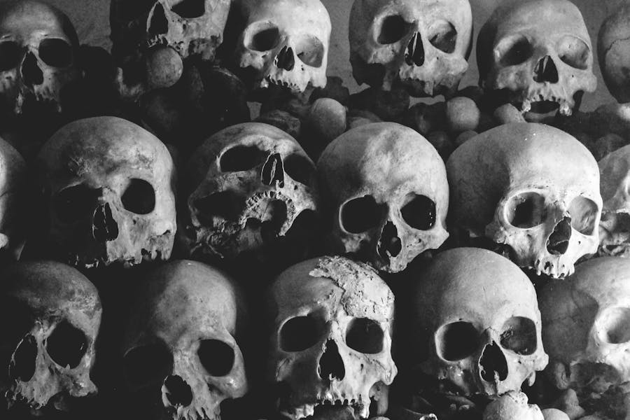 300+ Cool Names For Skulls: Bold And Mysterious Ideas