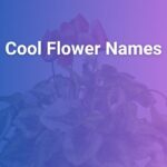 Cool Flower Names and Their Beautiful Meanings Explained