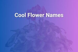 cool flower names