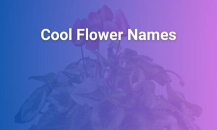 Cool Flower Names and Their Beautiful Meanings Explained