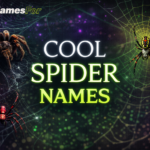 Cool Spider Names That Sound Powerful, Unique, and Fearless